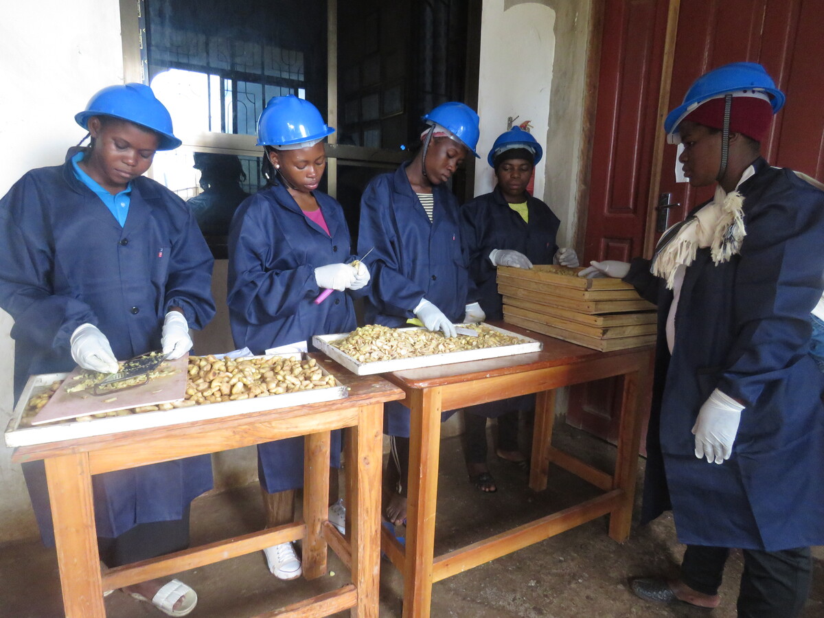 Agricultural Project